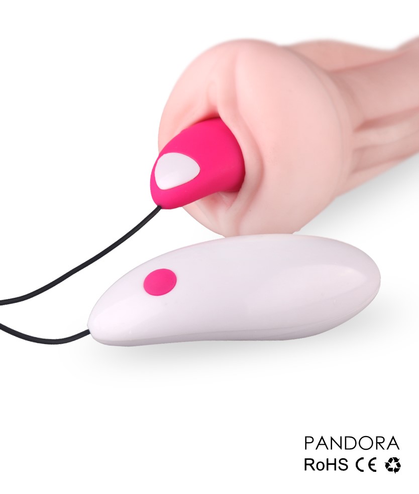 SH-S005 PANDORA - Image 3