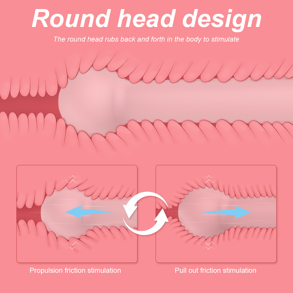 SH-S345 Canton Canton - Image 5